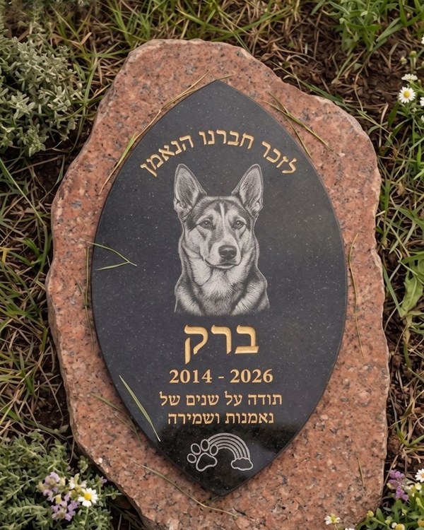 מצבת הנצחה לכלב ברק - אבן טבעית עם גרניט