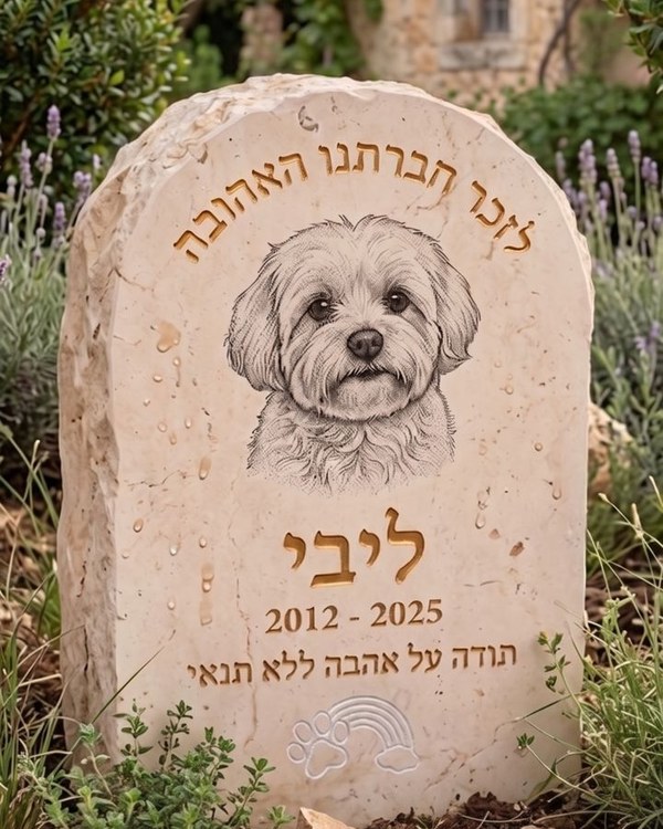 מצבת הנצחה לכלבה ליבי - אבן חברון עם חריטה