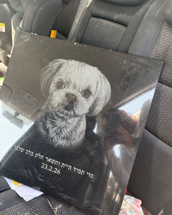 מצבת חיות מחמד בתהליך הכנה - חריטת לייזר על גרניט שחור