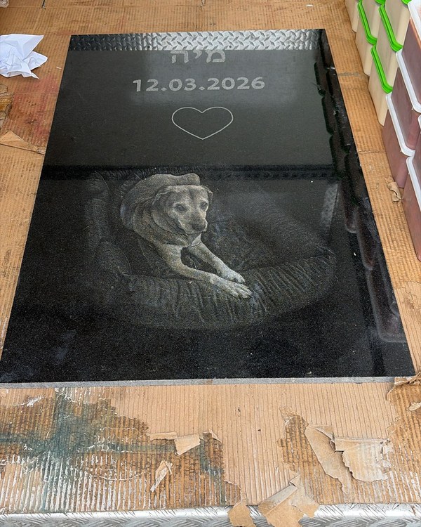 מצבת חיות מחמד בתהליך הכנה - גרניט שחור עם חריטה