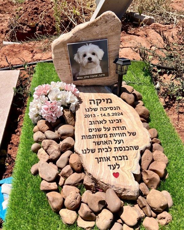 מצבת הנצחה לכלבה מיקה - אבן ועץ