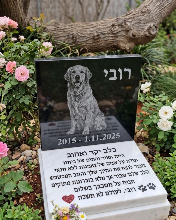 מצבת הנצחה לכלב רובי - גרניט שחור עם חריטה